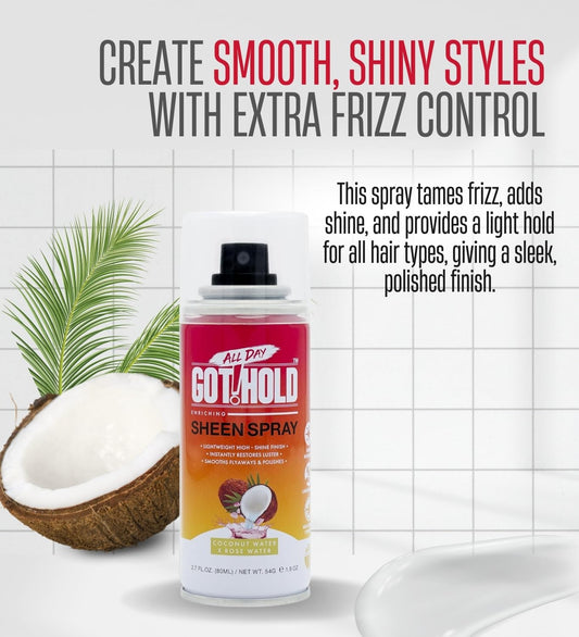 All Day Got Hold Sheen Spray