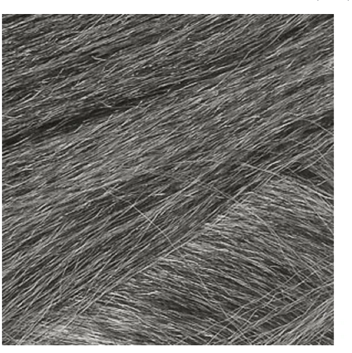 Casablanca Eve Hair Drawstring Ponytail FHP-314