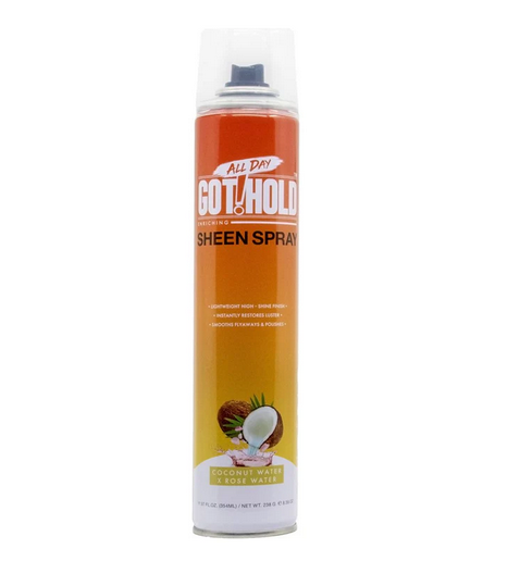 All Day Got Hold Hair Sheen Spray