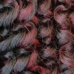 RastAfri Bahama Curl 22" Crochet Hair Extensions