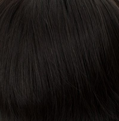 Blend 18 Hairpiece by Tony of Beverly