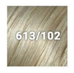 613/102