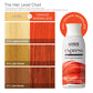 Kiss Express Semi-Perm K43 Orange Marmalade Color