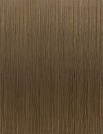 ASH BROWN