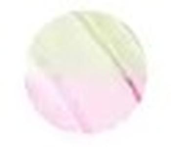 Kiss New York Professional Melting Jelly Lip Balm