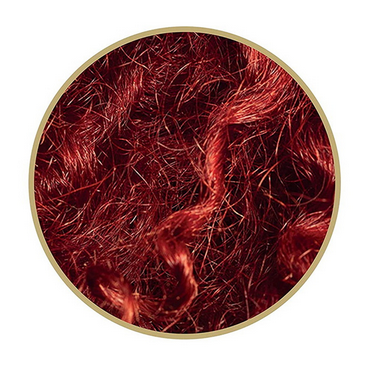 Clairol Textures & Tones