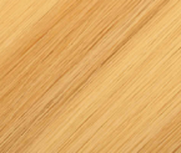 Hair Couture 100% Human Remy Hair Tape-In Extensions