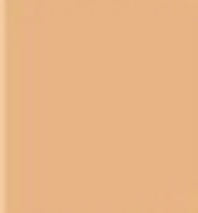 L.A. Girl Tinted Foundation Natural Finish GLM 1 oz