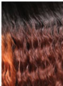 Bobbi Boss Glueless Lace Front Wig MBLF406 Sam