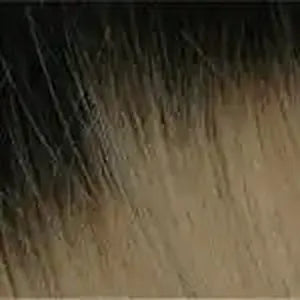 808 I-Tip Straight Bundle  18"