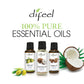 Difeel 100% Pure Essential Oil - JOJOBA Oil