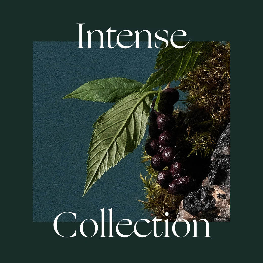 etleé Intense Collection Eau De Parfum Long Lasting Spray Perfume - Travel Size 10ml