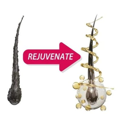 Neonello Ceramide Keratin Shampoo 10 oz