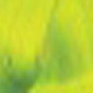 Adore Creative Image Semi-Permanent Color