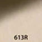 613R