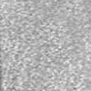 Kiss New York Professional Quick Dry Nail Polish QP