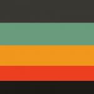 Beauty Town Large Thick Hair Net