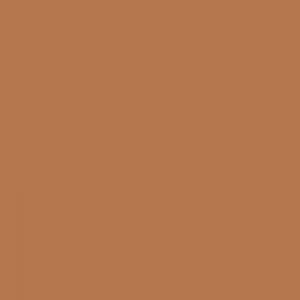 Ruby Kisses RKBC HD Brush Concealer