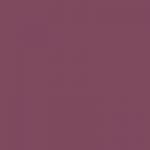 Ruby Kisses Matte Lipstick RMLS