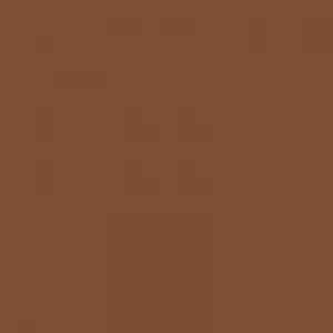 LA Girl Pro.Conceal HD Concealer -GC9