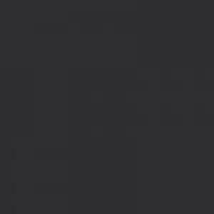 Quick Cover Gray Hair Touch Up Brush Applicator .25 oz BGC Kiss Colors