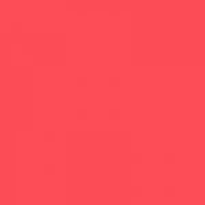 Ruby Kisses Matte Lipstick RMLS