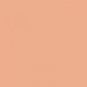 LA Girl Pro.Conceal HD Concealer -GC9