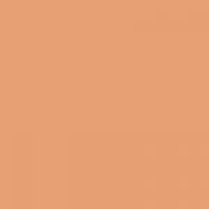 LA Girl Pro.Conceal HD Concealer -GC9