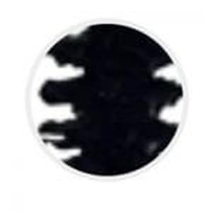 Nicka K New York Waterproof Mascara -WM