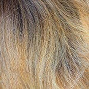 Outre Soft and Natural Neesha H302 Quick Weave Synthetic Half Wig