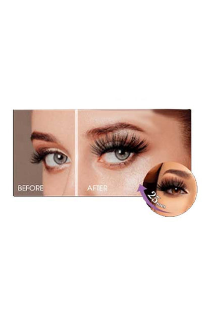 Ebin NY Wonder Cat XL XOC Before After Model