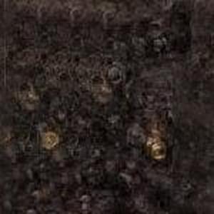 Fashion Source Drawstring Ponytail