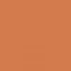 Ruby Kisses Matte Lipstick RMLS