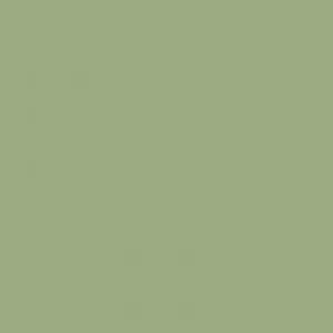 LA Girl Pro.Conceal HD Concealer -GC9