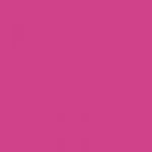 Ruby Kisses Matte Lipstick RMLS