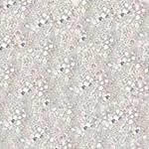 Kiss New York Professional Quick Dry Nail Polish QP