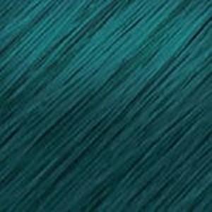 Hair Couture Clip & Go Radicals 100% Human Hair 2 pc Clip-In Extensions