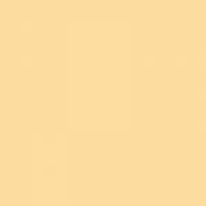 LA Girl Pro.Conceal HD Concealer -GC9