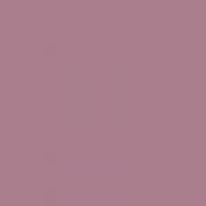 Ruby Kisses Matte Lipstick RMLS