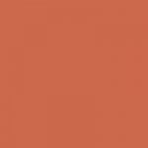 Ruby Kisses RKBC HD Brush Concealer