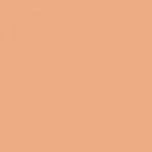 LA Girl Pro.Conceal HD Concealer -GC9