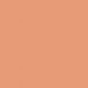 LA Girl Pro.Conceal HD Concealer -GC9