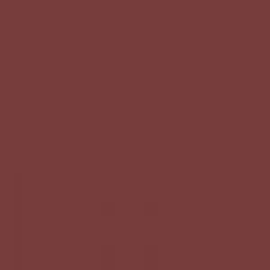 Ruby Kisses Matte Lipstick RMLS