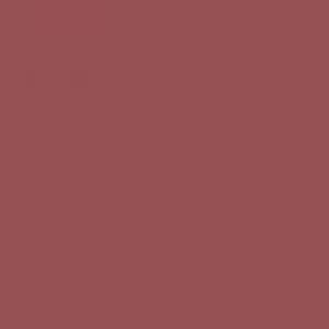 Ruby Kisses Matte Lipstick RMLS