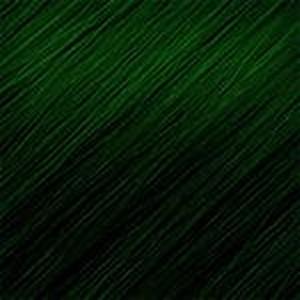 Hair Couture Clip & Go Radicals 100% Human Hair 2 pc Clip-In Extensions