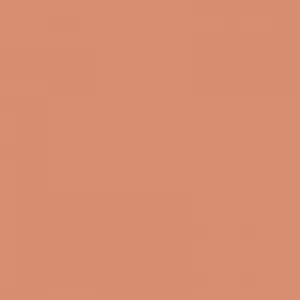 LA Girl Pro.Conceal HD Concealer -GC9