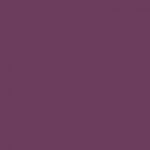 Ruby Kisses Perfect Precision Lip Liner -RAL