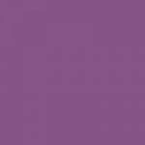 Ruby Kisses Matte Lipstick RMLS