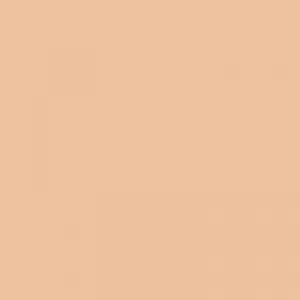 LA Girl Pro.Conceal HD Concealer -GC9