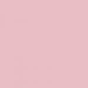 Ruby Kisses Pump Face Primer